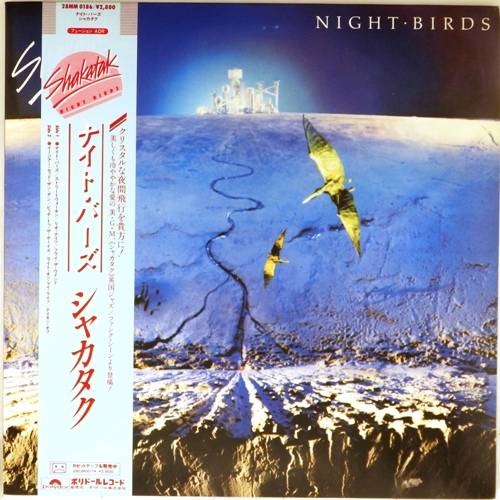 виниловая пластинка Night birds