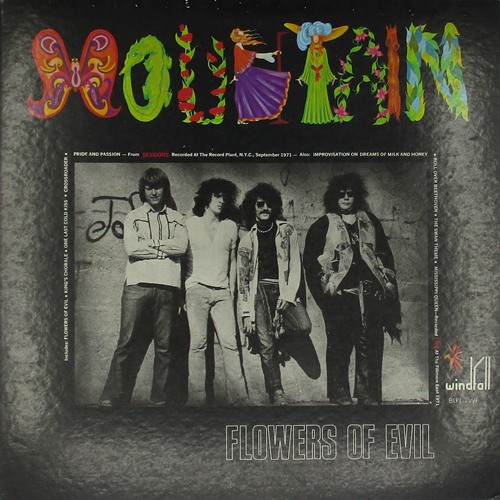 виниловая пластинка Flowers of evil