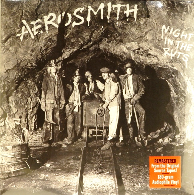 виниловая пластинка Night in the Ruts