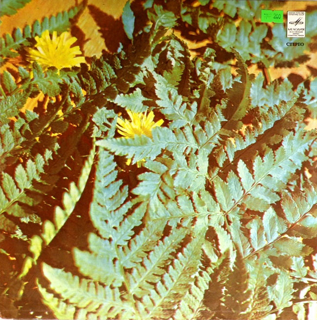 виниловая пластинка Jazz Rock 1975 (Джаз Рок 1975)