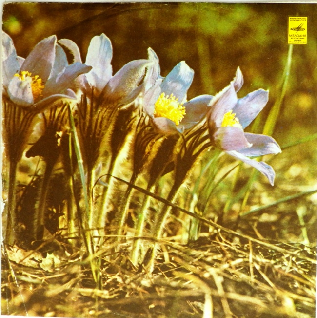 виниловая пластинка ВИА "Ариэль" (Зимы и весны, Старая пластинка, Тишина, Орган в ночи...!!!)