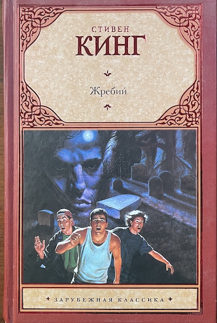 книга Жребий