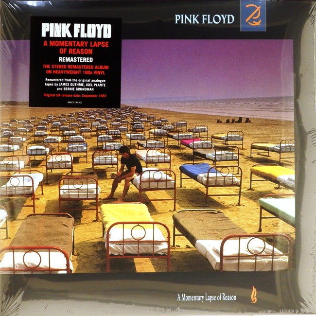 виниловая пластинка A Momentary Lapse of Reason