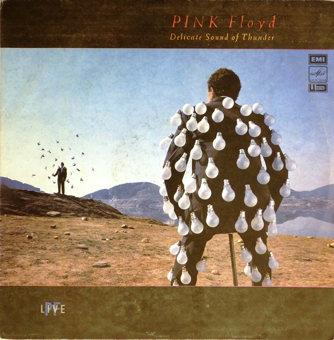 виниловая пластинка Delicate Sound of Thunder (2 LP) (хороший звук!)