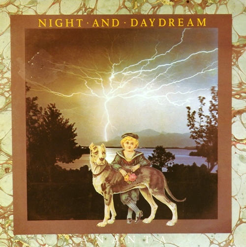 виниловая пластинка Night And Daydream