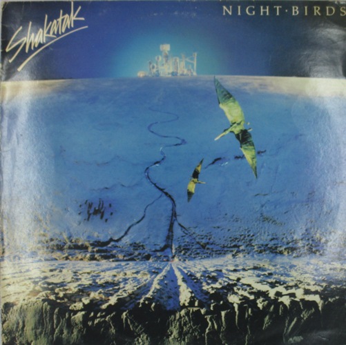 виниловая пластинка Night Birds