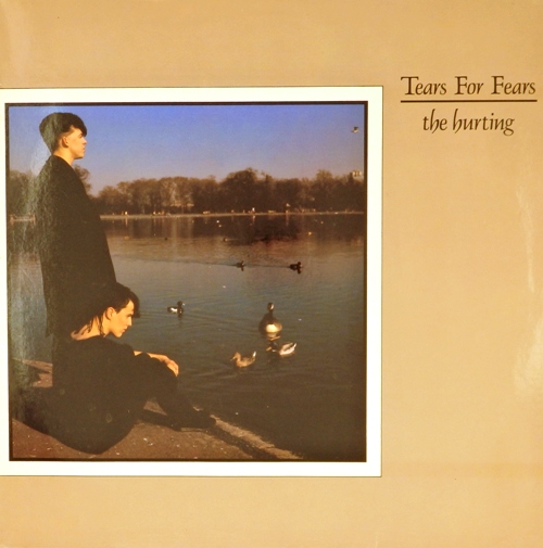 виниловая пластинка The Hurting