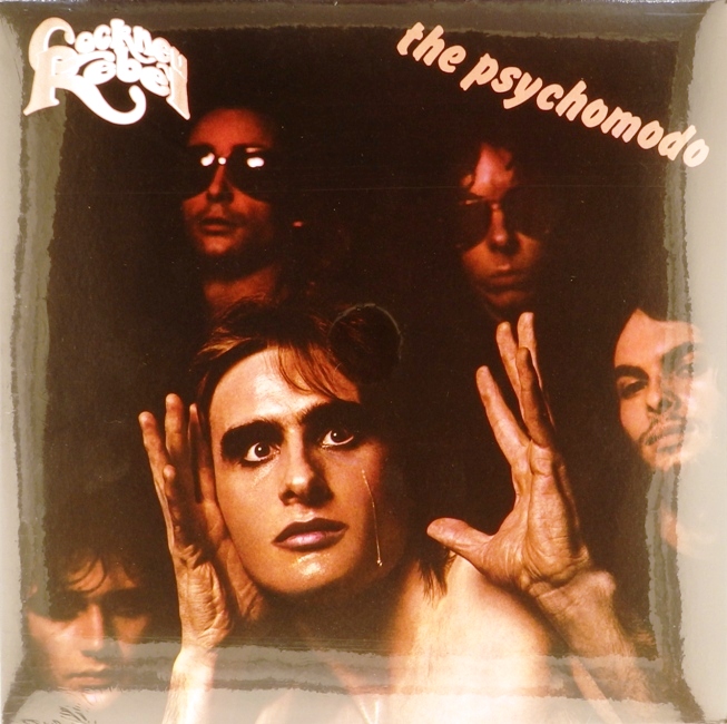 виниловая пластинка The Psychomodo