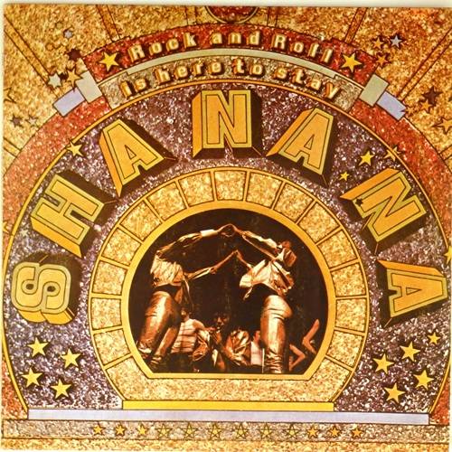 виниловая пластинка Rock And Roll Is Here To Stay