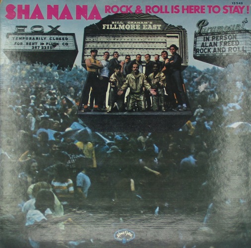 виниловая пластинка Rock And Roll Is Here To Stay